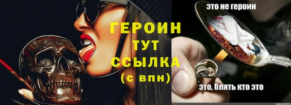 молекула духа Арсеньев