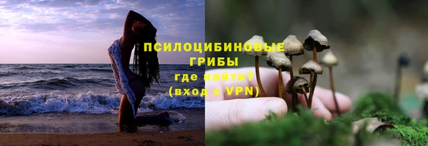 не бодяженный Аркадак