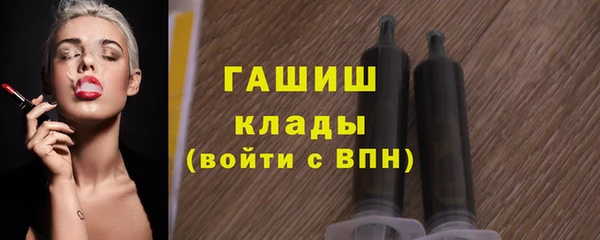 молекула духа Арсеньев