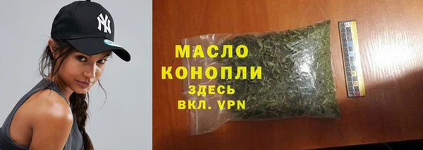 молекула духа Арсеньев
