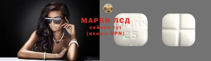 молекула духа Арсеньев
