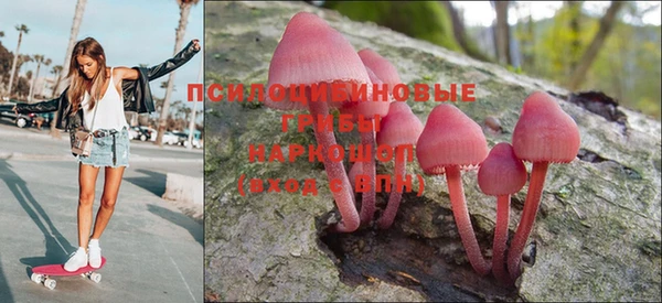 Альфа ПВП Армянск