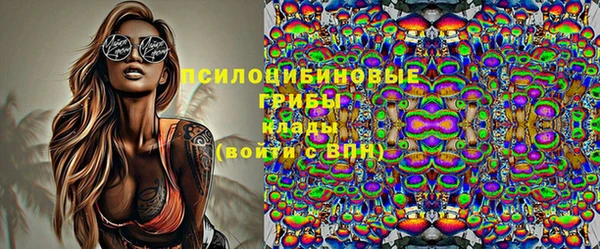 молекула духа Арсеньев