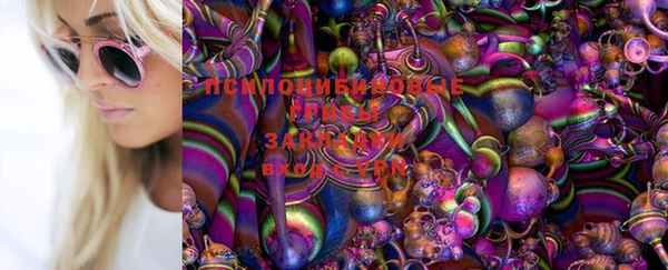 Альфа ПВП Армянск