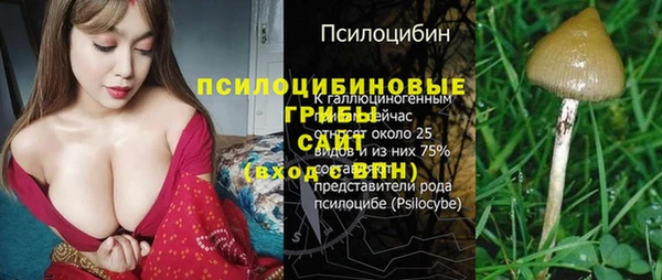 не бодяженный Аркадак