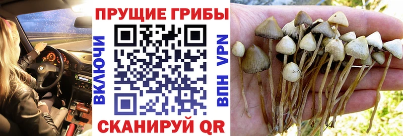Псилоцибиновые грибы MAGIC MUSHROOMS  Подольск 
